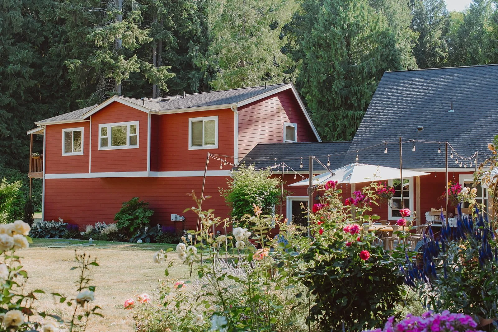 Stay — Red House Chronicles